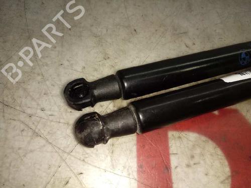 Tailgate lift support BMW 1 (F20)  | BP16647000C138