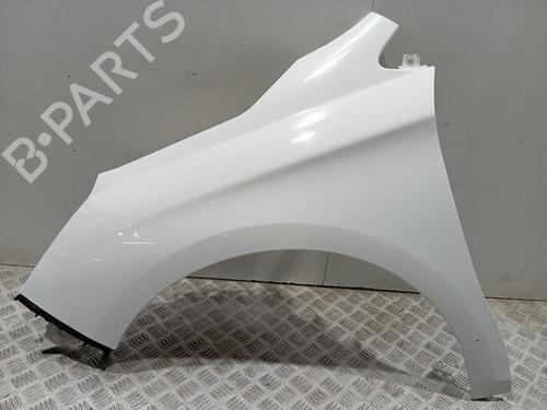 left-front-fenders-citroen-c4-ii-nc_-2009-40538837 main image