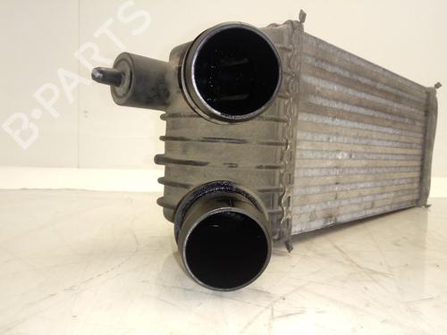 Intercooler PEUGEOT EXPERT (224_)  | BP18656069M30 