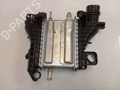 Used Intercooler RENAULT MEGANE IV Hatchback (B9A/M/N_) 1.5 Blue dCi 95 (B9A2, B9A6) (95 hp) 22757573