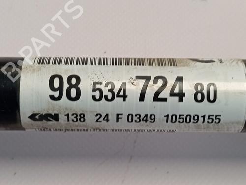 Left front driveshaft CITROËN C4 III (BA_, BB_, BC_)  | BP28502912M38 