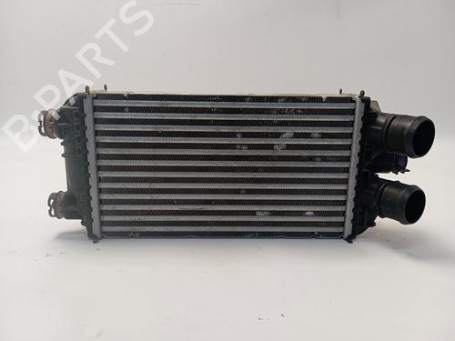 Intercooler PEUGEOT 208 I (CA_, CC_) 1.6 HDi (114 hp) 29029237
