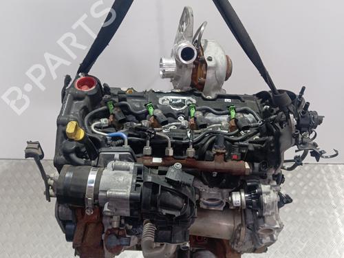 Used Engine Engine FORD TRANSIT CUSTOM V362 Bus (F3) [2012-2026] 36434528 36434528
