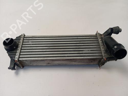 Used Intercooler RENAULT KANGOO / GRAND KANGOO II (KW0/1_) [2008-2025]  28138880