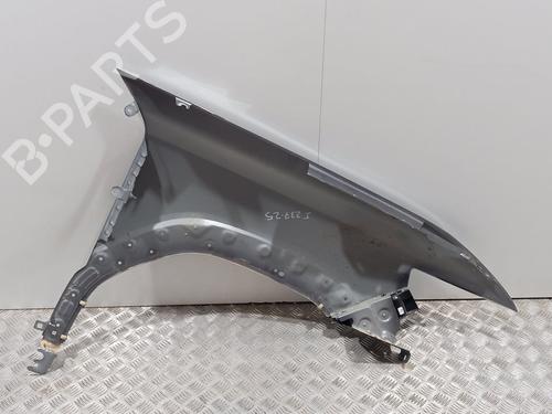 Left front fenders DACIA DUSTER (PYM_, PYN_) 1.0 ECO G-100 | BP29360550C41 