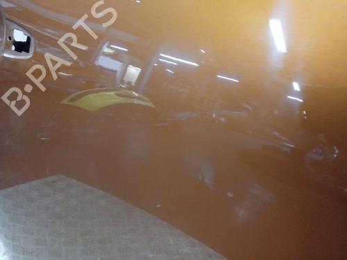 Right rear door DACIA SANDERO II  | BP12675995C5