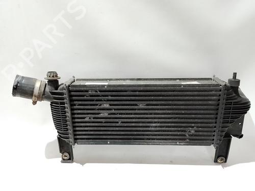 Used Intercooler NISSAN PATHFINDER III (R51) 2.5 dCi (174 hp) 30594077