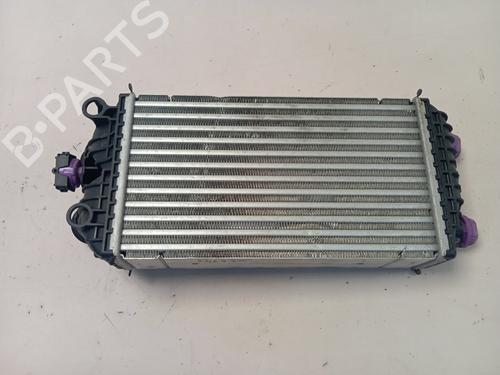 Intercooler PEUGEOT 2008 II (UD_, US_, UY_, UJ_, UR_, UC_)  | BP29723850M30 
