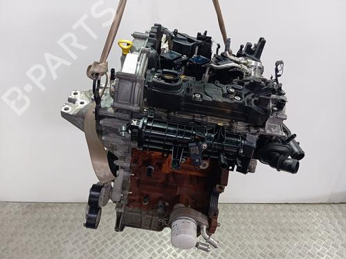 Motor für FORD PUMA (J2K, CF7) [2019-2025]  29548441