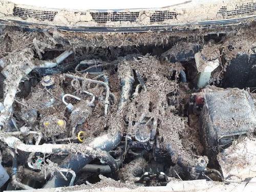 Rear wiper motor NISSAN QASHQAI II (J11, J11_)  | BP16477177M102 