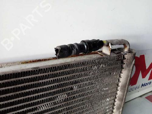Oil radiator LAND ROVER RANGE ROVER SPORT I (L320) 4.2 4x4 | BP13891336M33 