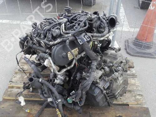 Steering pump CITROËN C6 (TD_) | BP12645122M99