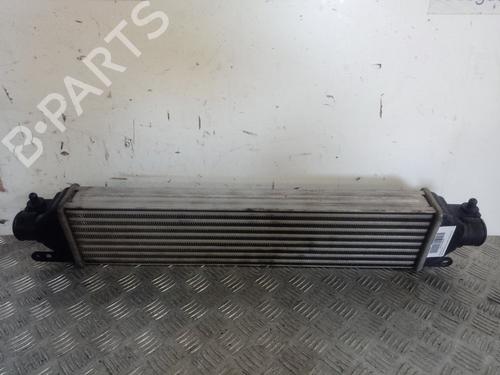 Intercooler FIAT GRANDE PUNTO (199_) [2005-2025]  12670413
