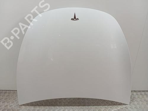 Hood TESLA MODEL Y (5YJY)  | BP29723917C1 