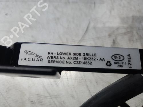 Grille JAGUAR XF I (X250)  | BP19248908C40