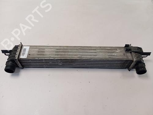 Used Intercooler FIAT QUBO (225_) 1.3 D Multijet (225AXE1A, 225CXE1A, 225AXH1A, 225AXL1A,... (95 hp) 28519097