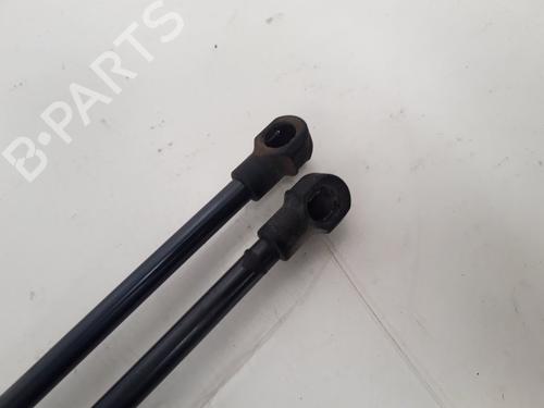 Tailgate lift support VW POLO (9N_, 9A_)  | BP14130320C138 