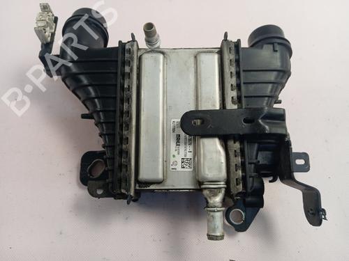 Used Intercooler RENAULT MEGANE IV Hatchback (B9A/M/N_) [2015-2025]  29002599