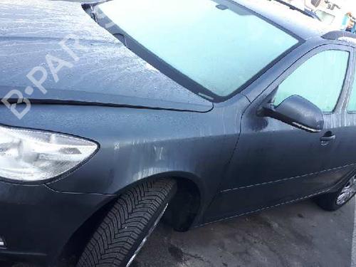 Tailgate lift support SKODA OCTAVIA II (1Z3)  | BP16438942C138 