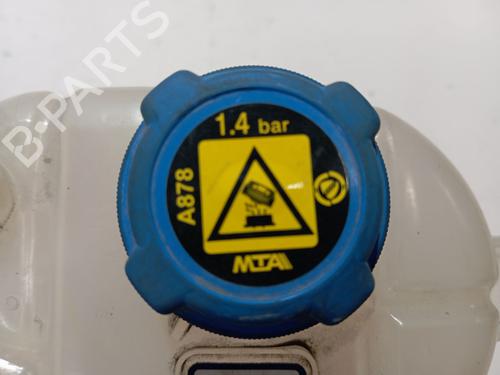 Expansion tank FIAT QUBO (225_) 1.3 D Multijet (225AXE1A, 225CXE1A, 225AXH1A, 225AXL1A,... | BP27166361C120