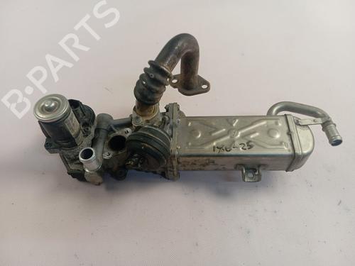 Used Egr VW TIGUAN (5N_) [2007-2018]  28837742