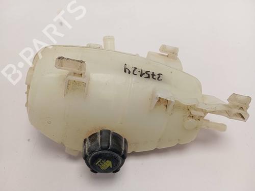 Used Expansion tank RENAULT KANGOO / GRAND KANGOO II (KW0/1_) [2008-2025]  20597559