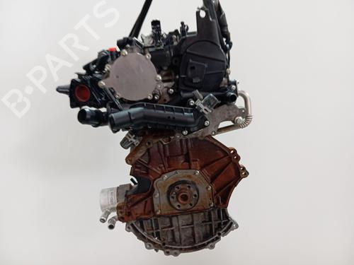 Engine FORD FIESTA VII (HJ, HF) | BP39246434M1 - Image 6