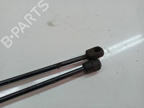 Tailgate lift support CITROËN C4 Picasso II  | BP14132090C138 