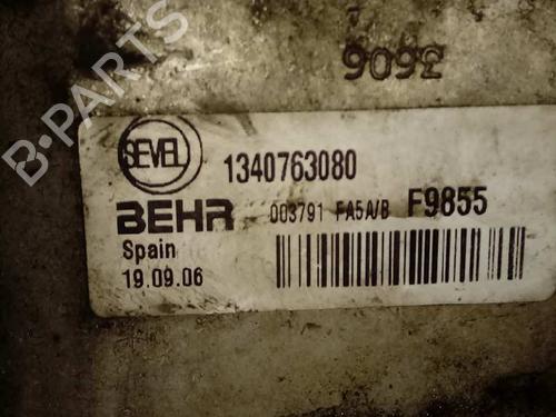 Intercooler FIAT DUCATO Van (250_) 120 Multijet 2,3 D 4x4 | BP12655625M30 