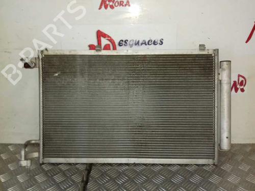 Heater matrix FORD FIESTA VI (CB1, CCN)  | BP12935065M63 