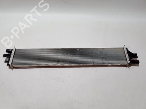 Wasserkühler RENAULT MASTER II Platform/Chassis (ED/HD/UD)  | BP29596137M31 