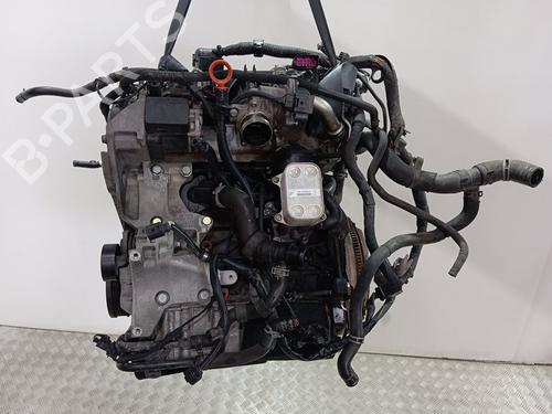 Engine VW POLO V (6R1, 6C1)  | BP22800954M1 