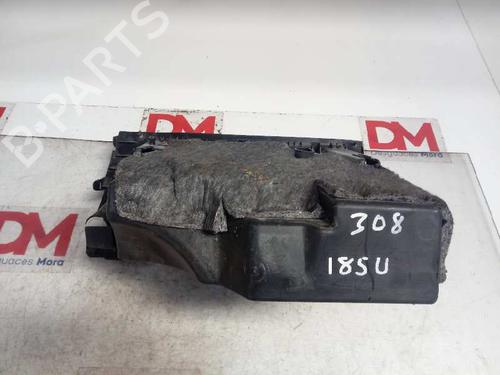 Glove box PEUGEOT 308 I (4A_, 4C_)  | BP12838060C95 