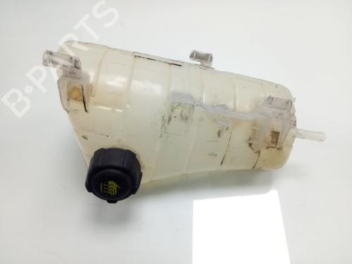 Used Expansion tank RENAULT KANGOO / GRAND KANGOO II (KW0/1_) [2008-2025]  19657942