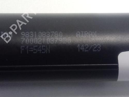 Tailgate lift support CITROËN C4 III (BA_, BB_, BC_)  | BP16886469C138 