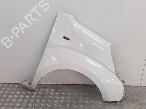 Used Right front fenders CITROËN NEMO Box Body/MPV (AA_) [2008-2026]  31802741