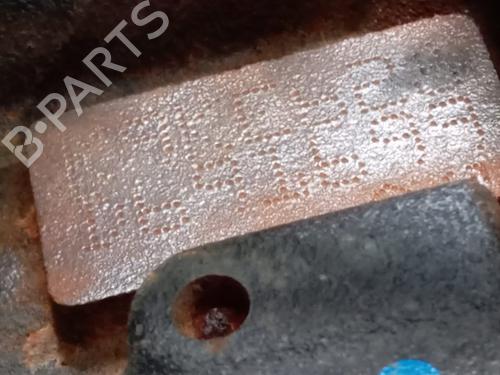 Engine RENAULT KANGOO / GRAND KANGOO II (KW0/1_)  | BP25925734M1 