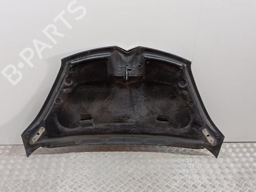 Hood CITROËN C4 Picasso I MPV (UD_)  | BP29242640C1 