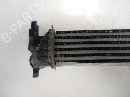 Intercooler SEAT IBIZA IV (6J5, 6P1)  | BP17624261M30 