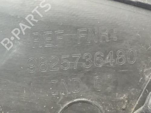 Front left wheel arch trim PEUGEOT 2008 II (UD_, US_, UY_, UJ_, UR_, UC_)  | BP29359064C134 