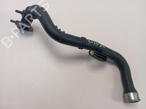 Pipe RENAULT ARKANA I (LCM_, LDN_)  | BP29536334M125 
