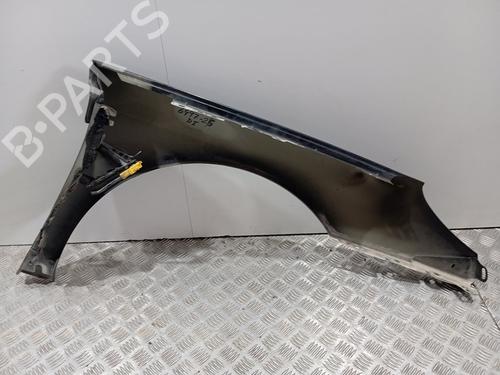 Left front fenders PEUGEOT 407 (6D_) | BP29536410C41