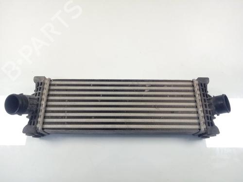 Used Intercooler FORD TRANSIT V363 Platform/Chassis (FED, FFD) [2013-2025]  22555504