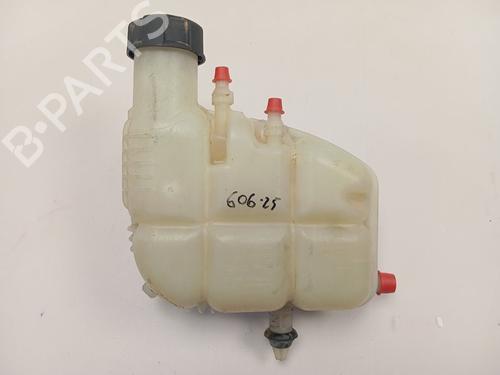 Used Expansion tank BMW X1 (F48) sDrive 18 d (150 hp) 26214987