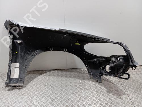 Left front fenders BMW X5 (E70) 3.0 d | BP29588567C41 