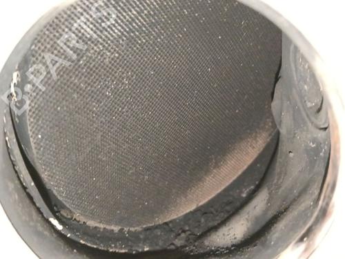 Catalyst RENAULT KANGOO III Box Body/MPV | BP34371156M10 - Image 3