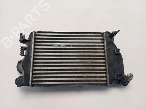Used Intercooler RENAULT MEGANE IV Hatchback (B9A/M/N_) [2015-2026]  27272328