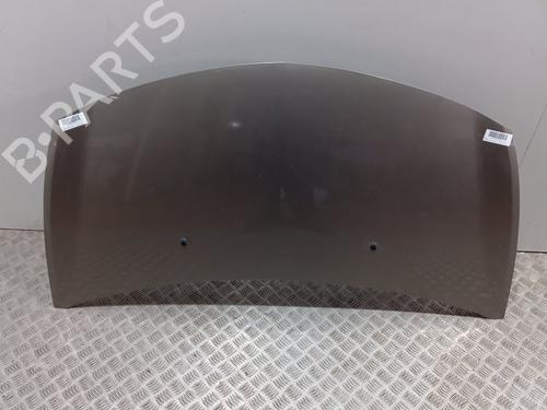 hood-renault-clio-iii-br01-cr01-2005-2006-2007-2008-2009-2010-2011-2012-2013-2014-28733393 main image