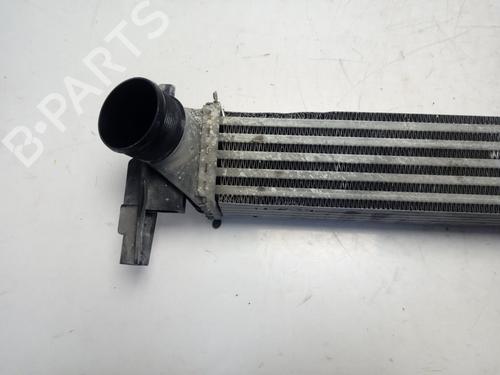Intercooler SEAT IBIZA IV (6J5, 6P1)  | BP17624261M30 