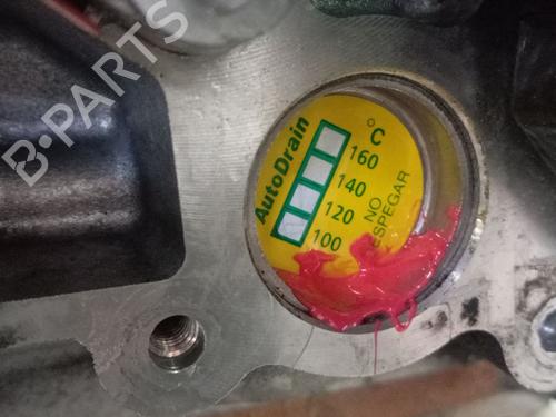 Engine FIAT TALENTO Van (296_) 1.6 D | BP40531560M1 - Image 4